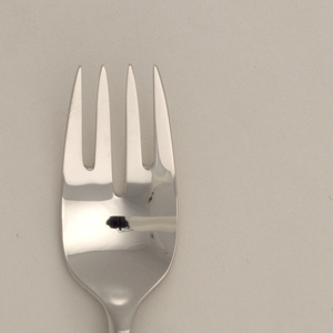 Fork, Fish