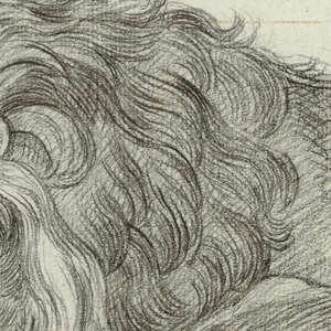 Drawing, Study of a Lion, ca. 1815