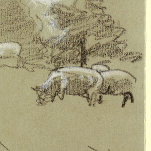 Drawing, Sheep Grazing in a Field, ca. 1875–78