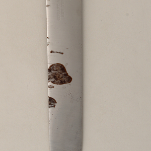 Chrysanthemum Dinner Knife, 1880–91