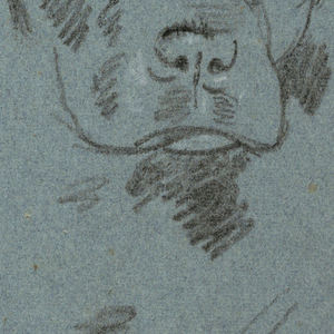 Drawing, Study of a Lioness, 19th century