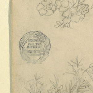 Drawing, Study of a Rosa de Panama or Oleander Plant, May–June 1857