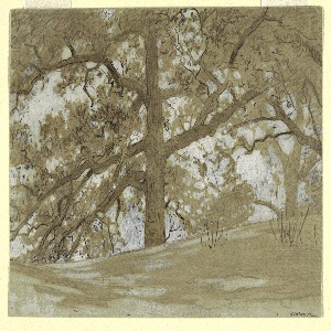 Drawing, Waverly Oaks, 1878