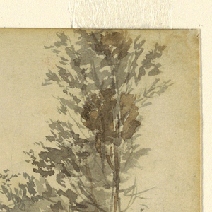 Drawing, Four Cows Grazing in a Pasture, ca. 1855–60