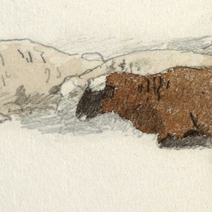 Drawing, Sheep Resting, 1878