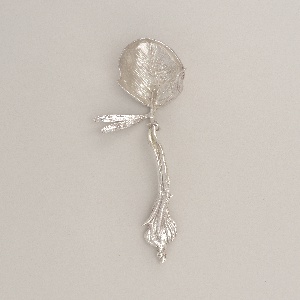 Tablespoon (France), 1966
