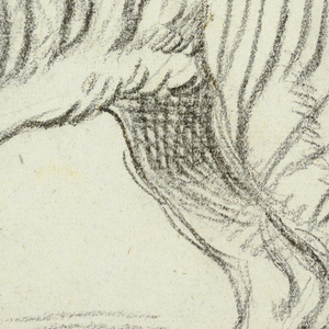 Drawing, Study of a Tiger, ca. 1815