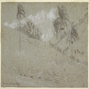 Drawing, Cuban Hillside, 1885