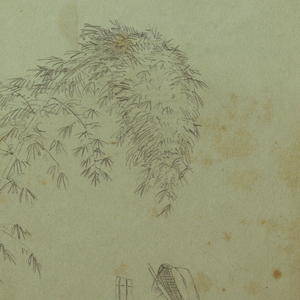 Drawing, Studies of Tree Tops and Bamboo, Jamaica, August 1865