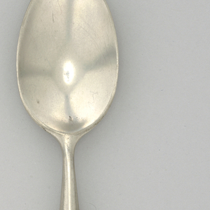 Palisander Teaspoon, mid-20th century