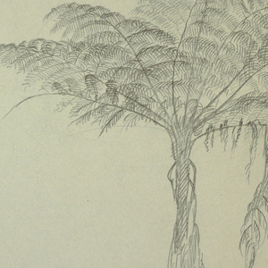Drawing, Fern Tree Study, Jamaica, August 1865