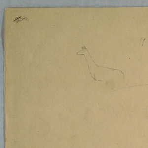 Drawing, Views of Ecuador: Llamas Grazing and a Cloudy Moon Lit Sky with El Altar Rising Behind a Mountain Range, ca. September 1853