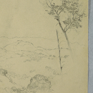 Drawing, Wooded Vale with a Large Fern and Distant Mountain Ranges, Jamaica, July 1865