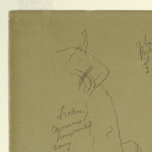 Drawing, El Khasnesh, Petra Jordan, February 26, 1868