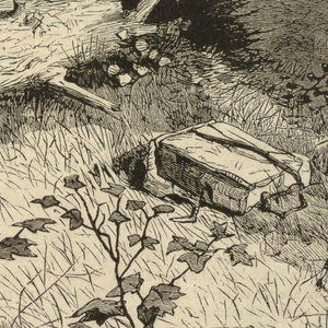 Print, The Artist in the Country, from Appletons