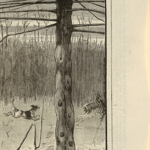 Print, Deer-Stalking in the Adirondacks in Winter, from Every Saturday, January 21, 1871, p. 57, 1871