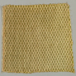 Fragment