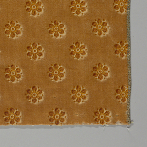 Textile, 1901–50