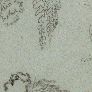 Drawing, Sketches from the Rio Magdalena, Colombia:  Leaf Boughs, Vine Stems,  Guacamaya Tree Top, Bush and Tree Group, White Bird , and a Plant Detail, 1853, probably May