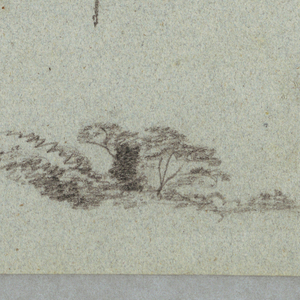 Drawing, Five Studies of Tree Tops, Rio Magdalena, Colombia, 1853, probably May