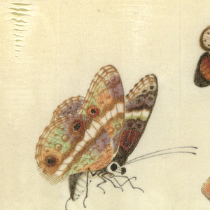 Drawing (China)