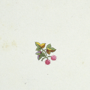 Drawing (France)