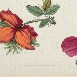 Drawing, Floral design for printed textile, 1800–1818