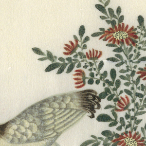 Drawing (China)