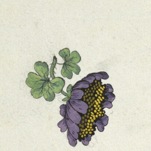 Drawing, Floral design for printed textile, 1800–1818