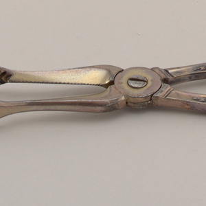 Sugar Cutter