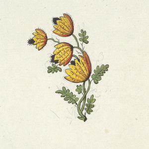 Drawing (Switzerland), ca. 1801