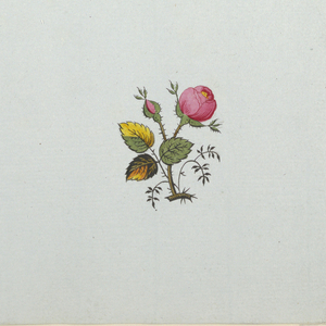 Drawing (France)