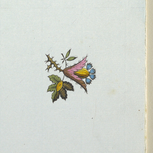 Drawing (France)