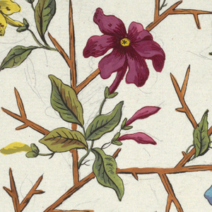 Drawing, Floral design for printed textile, 1800–1818