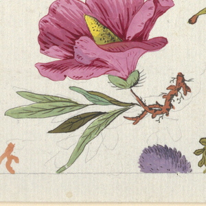 Drawing, Floral design for printed textile, 1800–1818