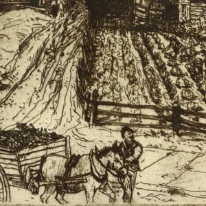 Print, A New York City Farm Surrounded by Tenements, 1881