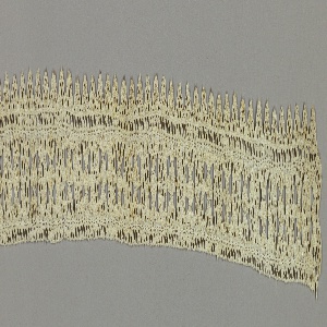 Border (Italy), 1500–50