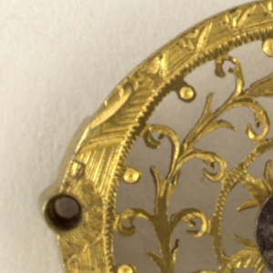 Coque De Montre