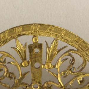 Coque De Montre