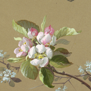 Drawing (France)
