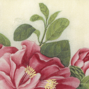 Drawing (China)