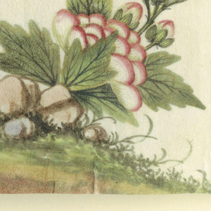 Drawing (China)