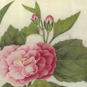 Drawing (China)