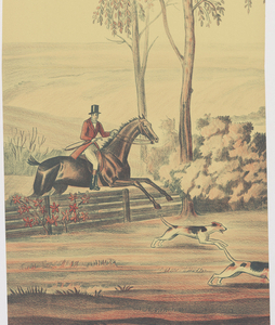 Scenic - Panel, Tallyho