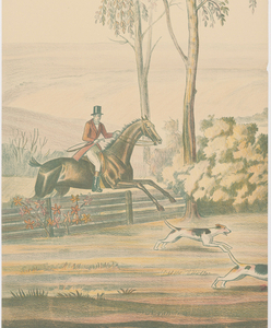Scenic - Panel, Tallyho