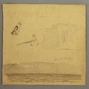 Drawing, Man in boat, bird, cliffs, coast, July 6, 1859