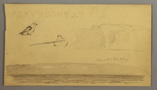 Drawing, Sketches from Newfoundland and Labrador, Canada