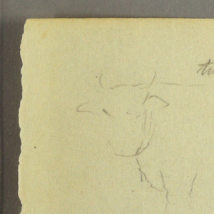 Drawing, rays between clouds, bulls, possibly 1877