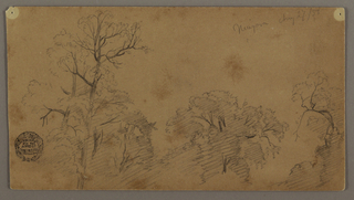 Drawing, Tree Tops, Niagara