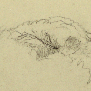 Drawing, Tree tops, 1890–93
